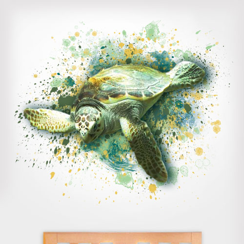 Artsy Sea Turtle Colors