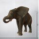 Elephant Drinking Wall Decal