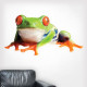Red Eye Tree Frog Wall Decal
