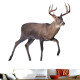 White Tail Deer Wall Decal