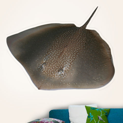Sting Ray Wall Decal