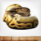 Ball Python Wall Decal