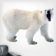 Polar Bear Growling Wall Decal
