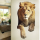 South African Male Lion Front Wall Decal
