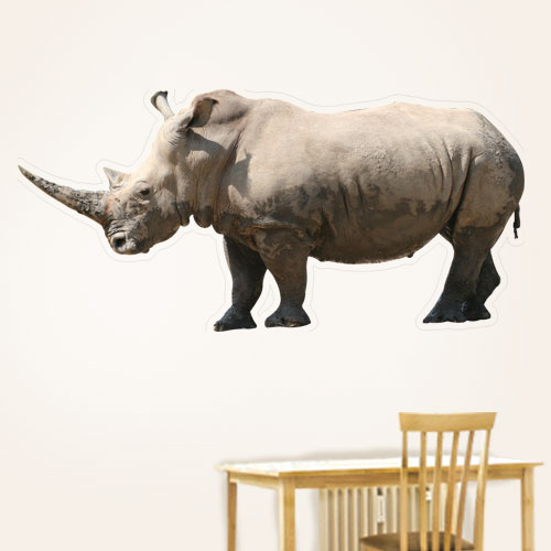 Bull Rhino