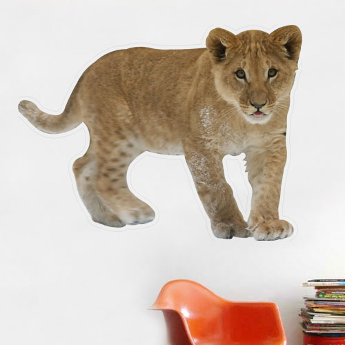 South African Lion Cub Wall Decal
