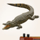 Australian Salt Water Crocodile Wall Decal