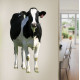 Dairy Cow Wall Decal