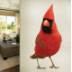 Northern Male Cardinal Wall Decal