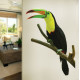 Keelbilled Toucan Wall Decal