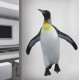 Emperor Penguin Wall Decal