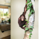 Orangutan Hanging in a Tree Wall Decal