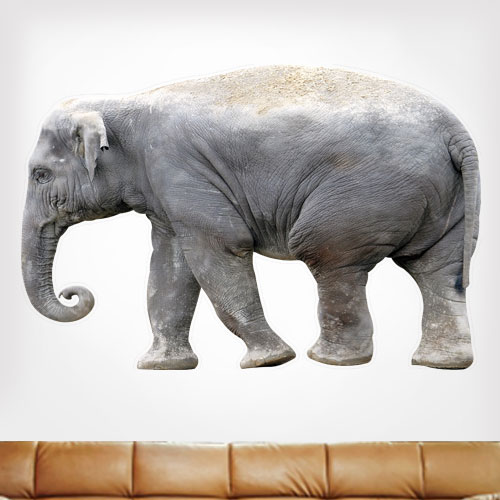 Indian Elephant Wall Decal