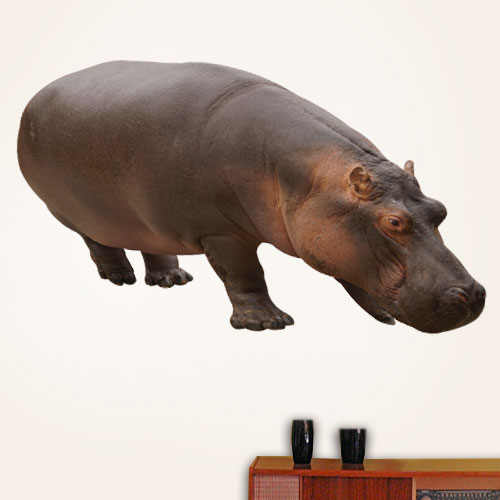 Male Hippo Wall Decal