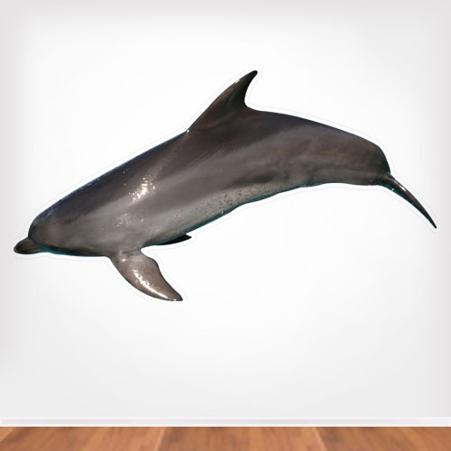 Bottle nose Dolphin Jumping Wall Decal