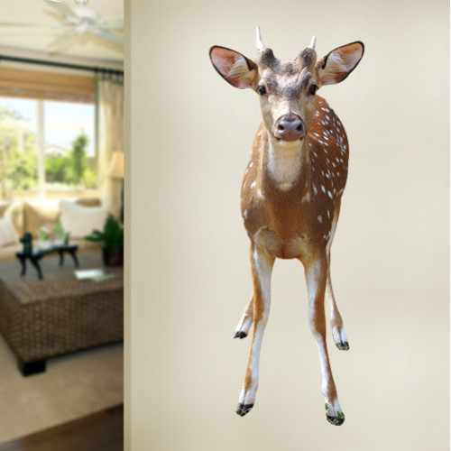 Baby Fawn Wall Decal