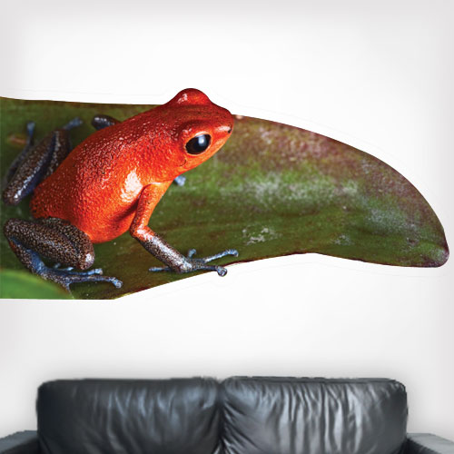 Strawberry Poison Dart Frog Wall Decal