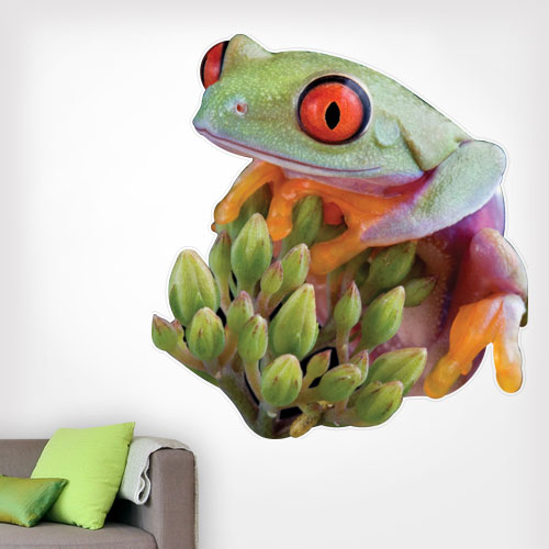 Red Eyed Tree Frog Wall Decal