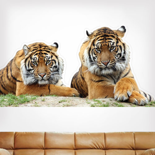 Siberian Tigers Wall Decal