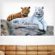 Tigers Wall Decal