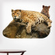 jaguar and baby Wall Decal
