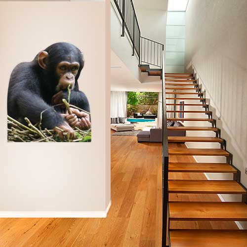 Baby Chimp Wall Decal