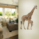 Giraffe Mother and Baby Wall Decal