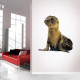 Baby Seal Wall Decal