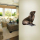 Baby Seal 2 Wall Decal