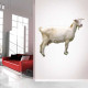 Goat Wall Decal