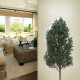 Realistic Tree Wall Decal