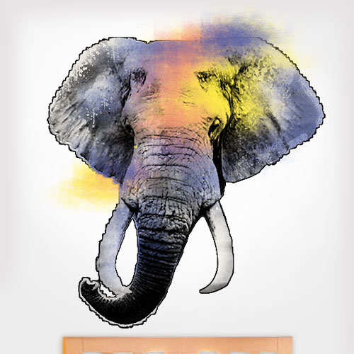 Spray Painted Elephant Wall Decal