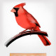 Painted Cardinal Wall Decal