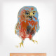Water Colour Owl Wall Decal